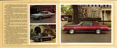 1978 Buick 75th Anniversary-14-15.jpg